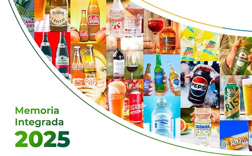Memoria Integrada 2025